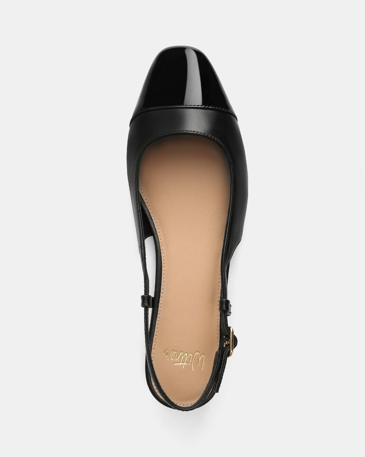 Dame Dress Flats Black Leather
